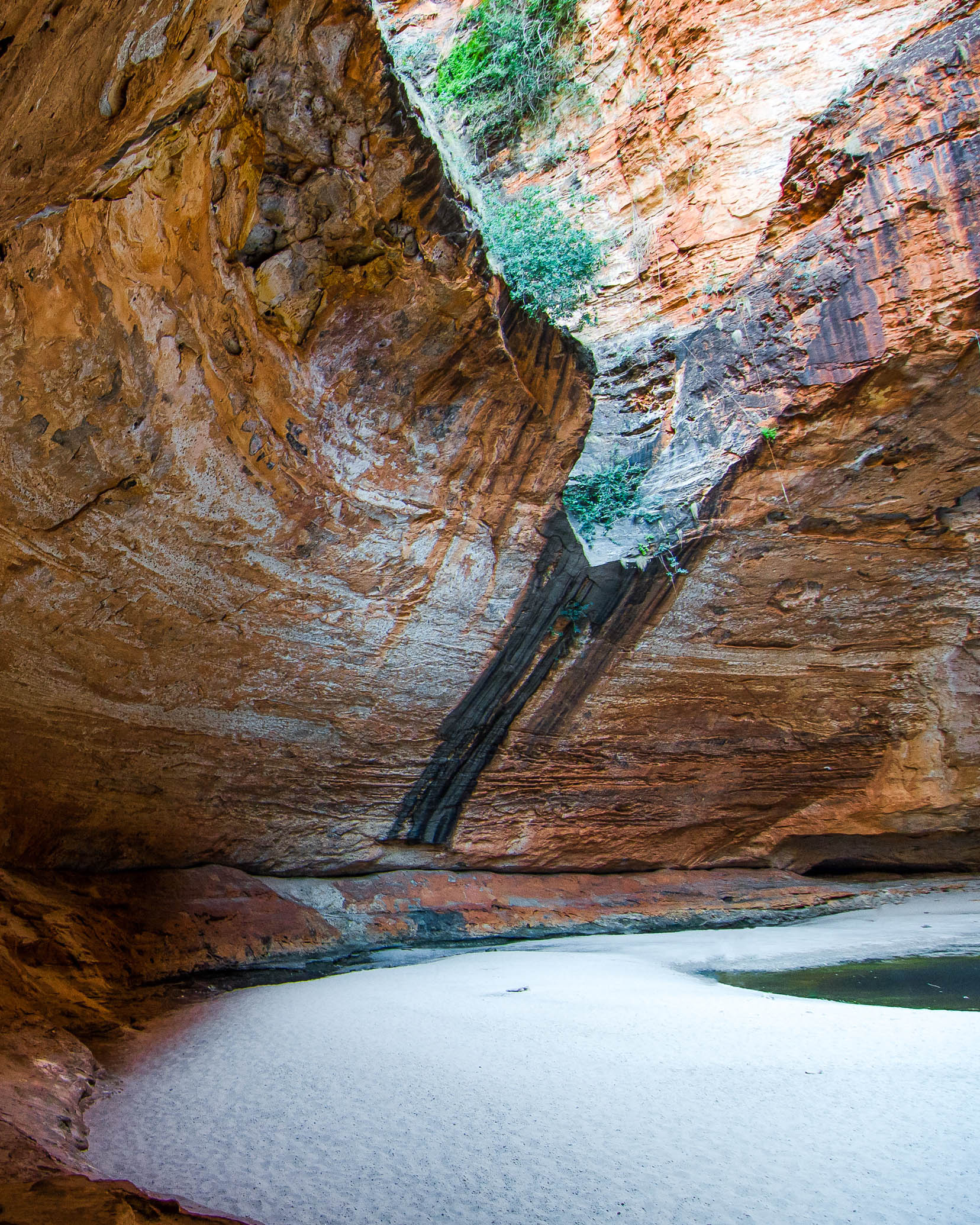 cathedral gorge purnululu