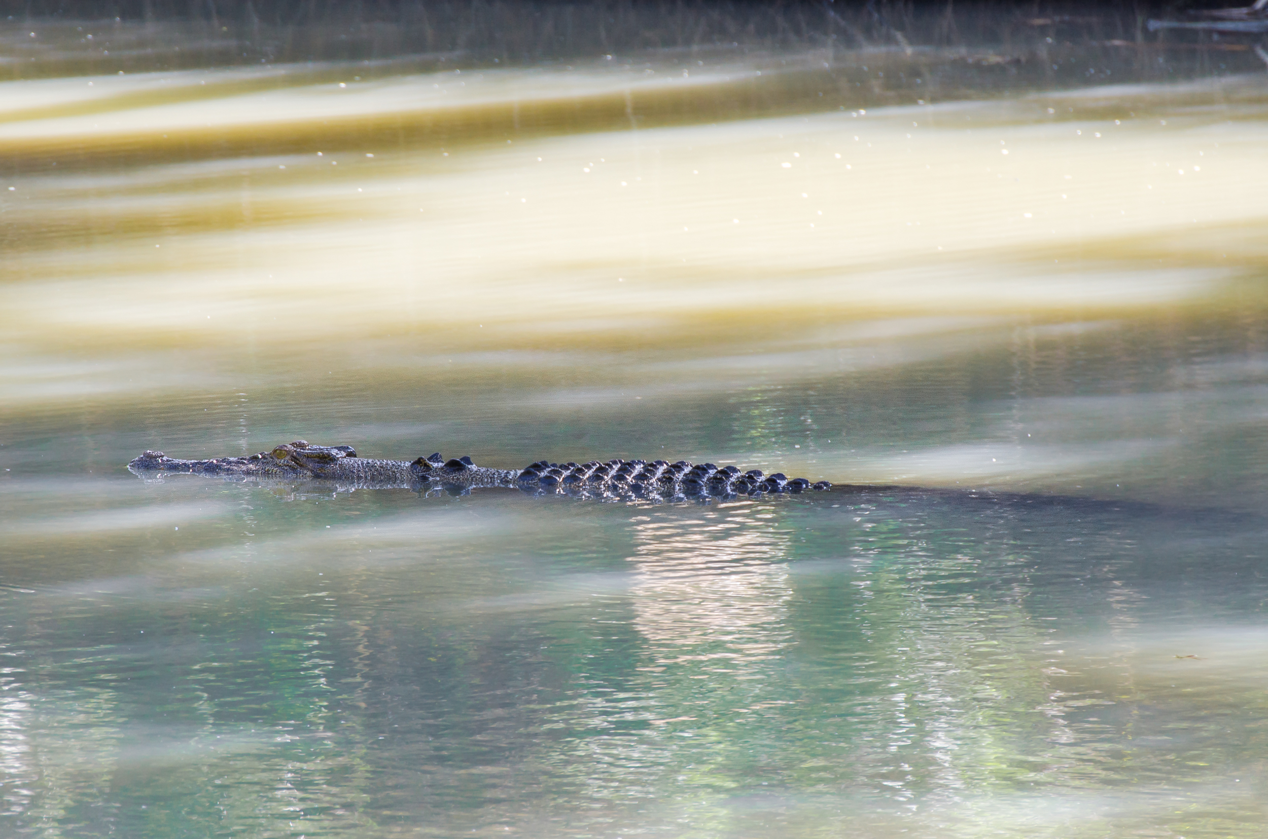 que faire à kakadu cahills crossing crocodiles