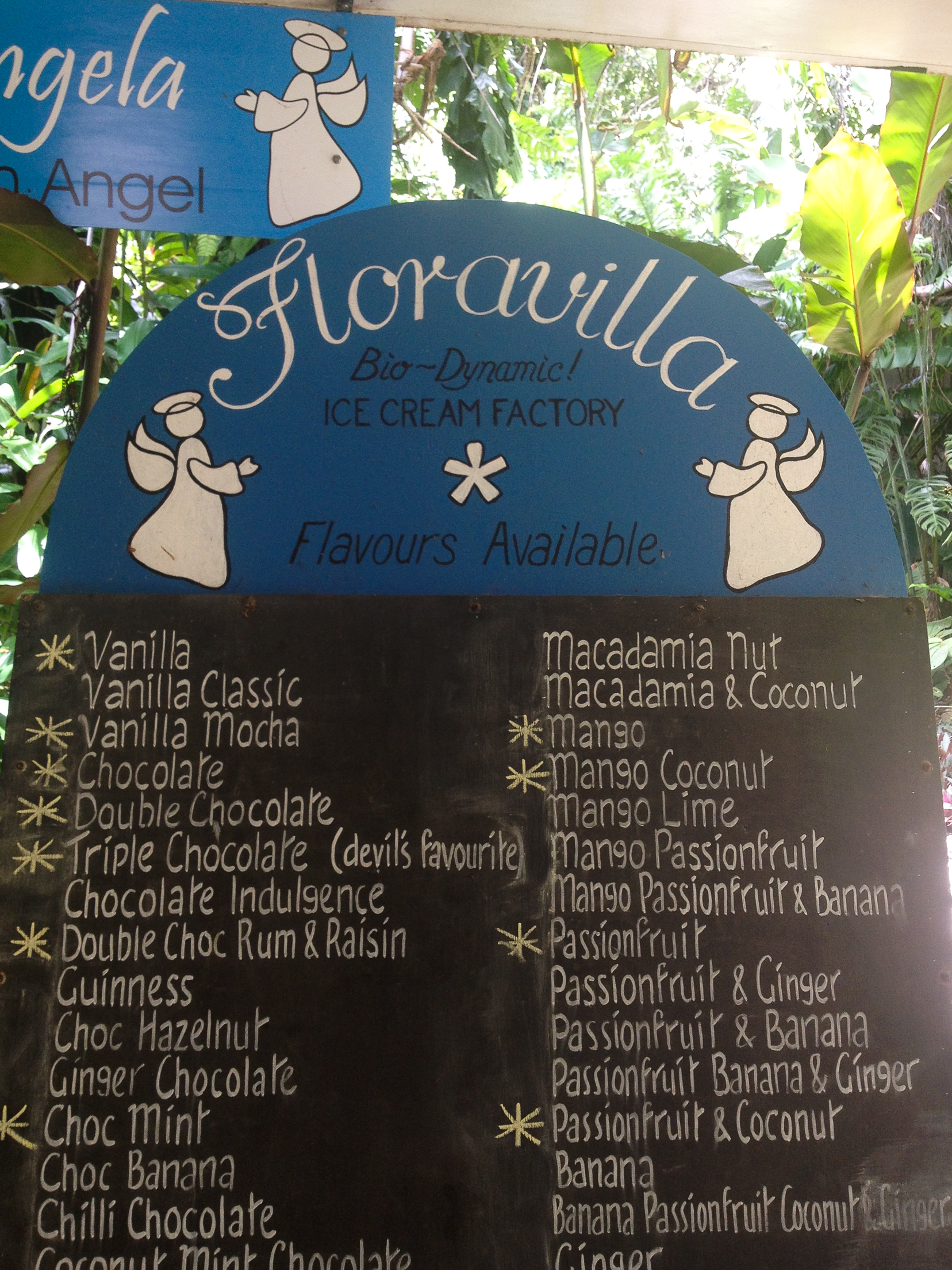 floravilla ice cream daintree rainforest