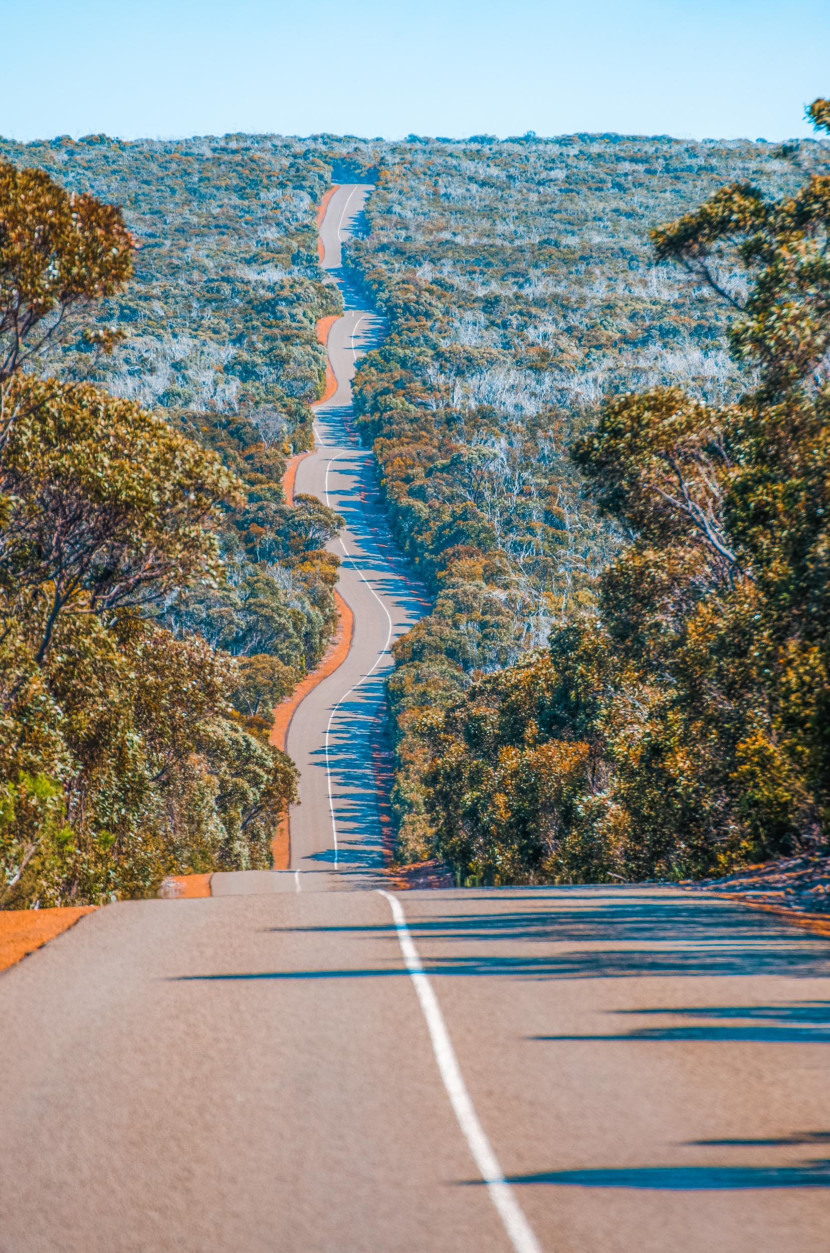 kangaroo island curved road road trip perth-melbourne