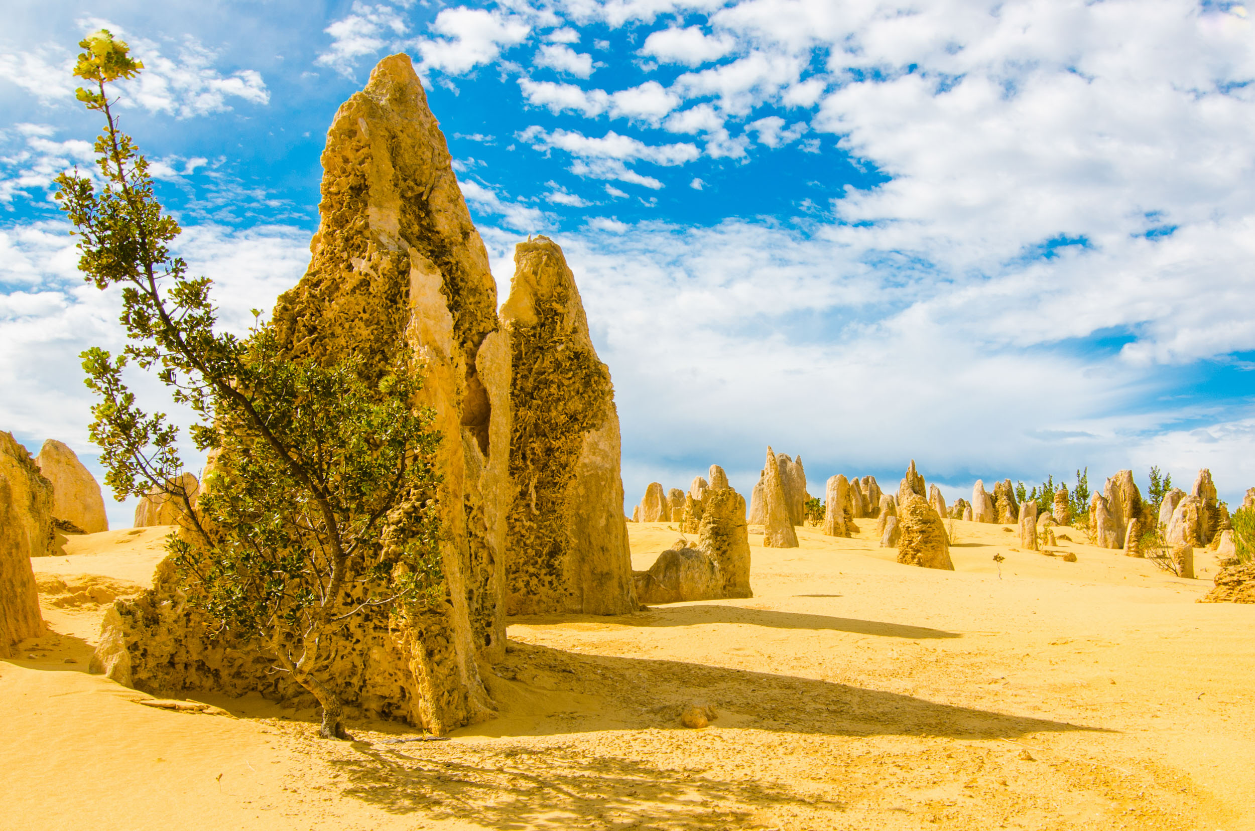 pinnacles road trip côte ouest australie