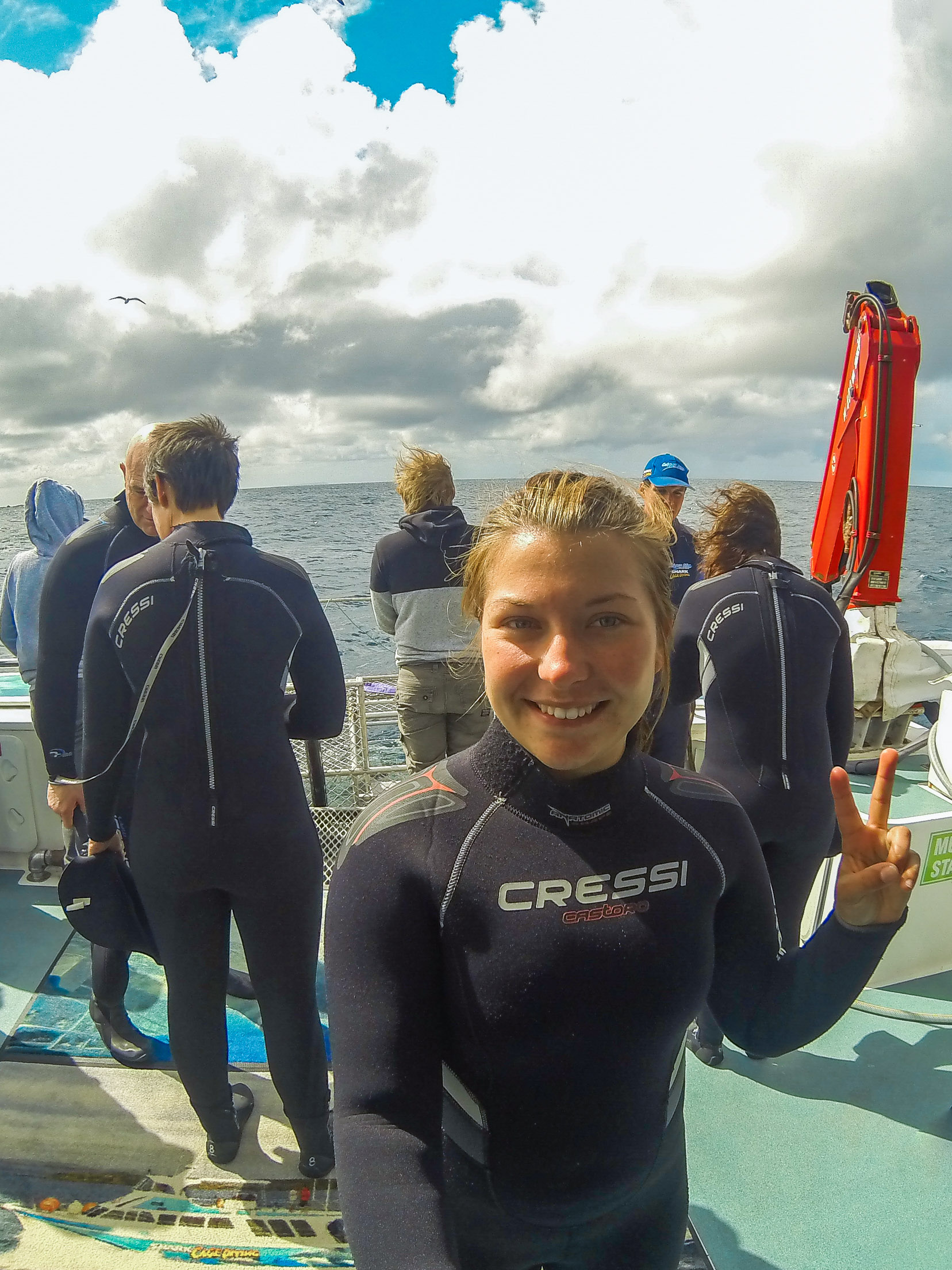 calypso star charters shark cage diving port lincoln