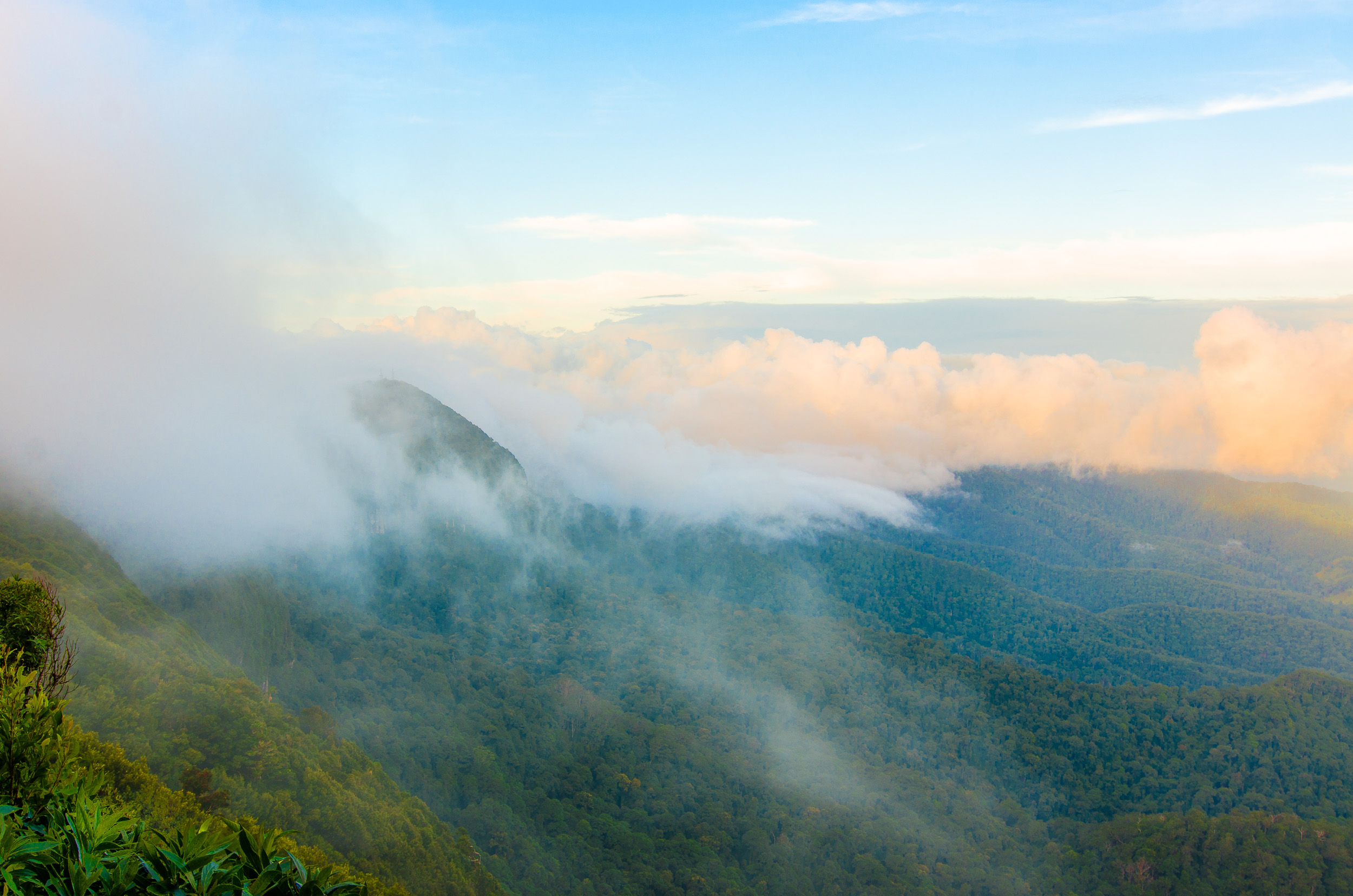 best of all lookout springbrook national park
